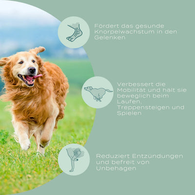 Naturecan- UC-II® Hundeleckerlis für Gelenke
