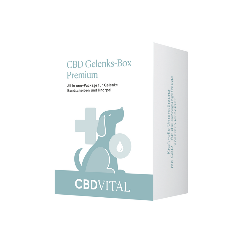 CBD Vital- CBD Bundle für Gelenke