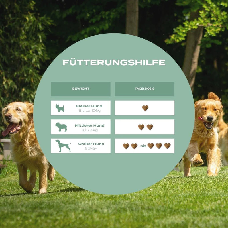 Naturecan- UC-II® Hundeleckerlis für Gelenke