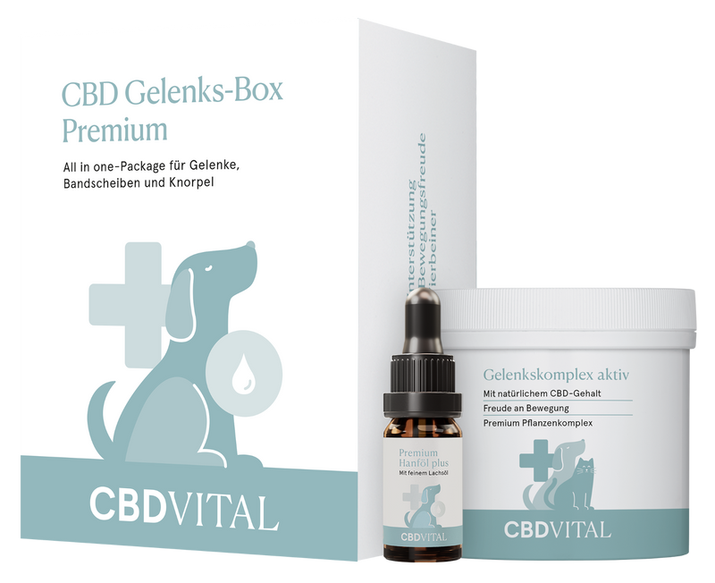 CBD Vital- CBD Bundle für Gelenke